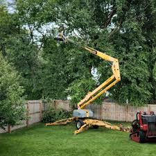 Best Lawn Irrigation Installation and Maintenance  in Seaford, DE